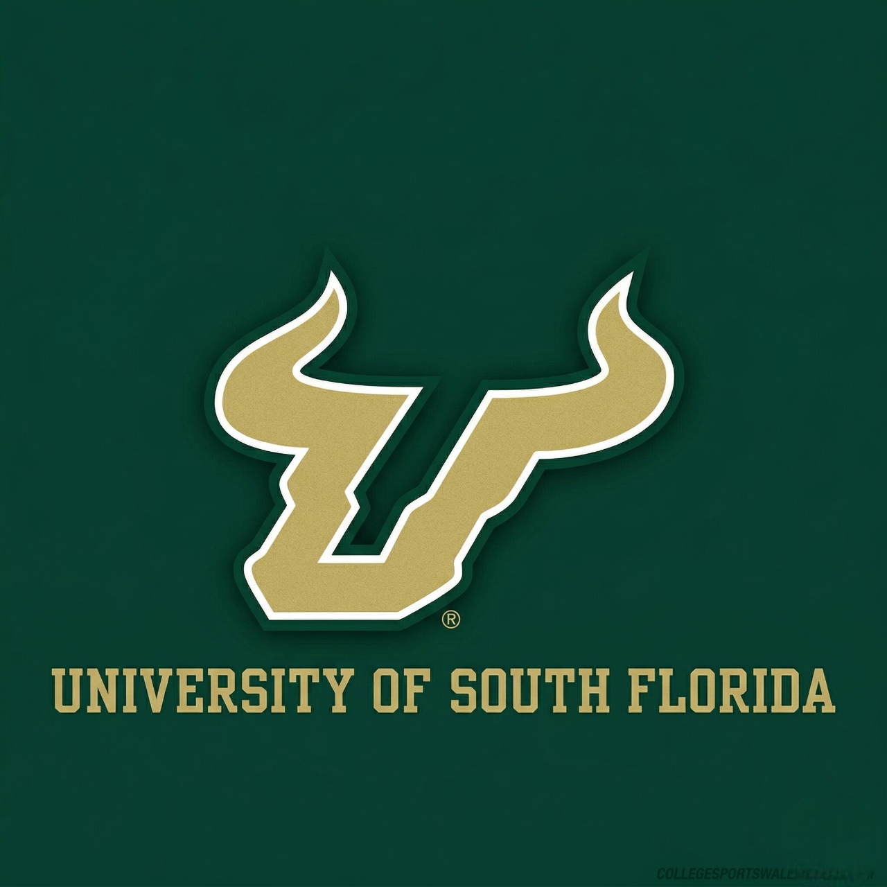 University of South Florida
